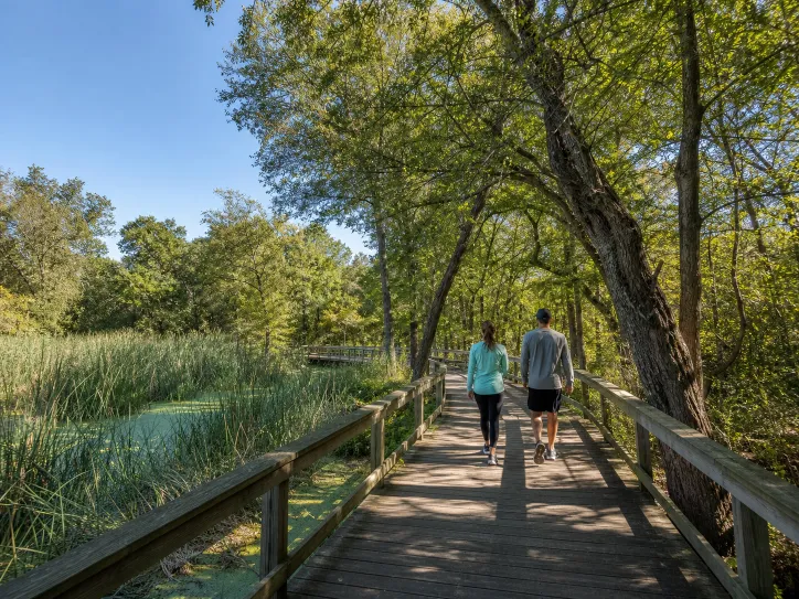 Wood boardwalk crossing wetlands beneath mature hardwood trees. Conceptual imagery — not an active listing.